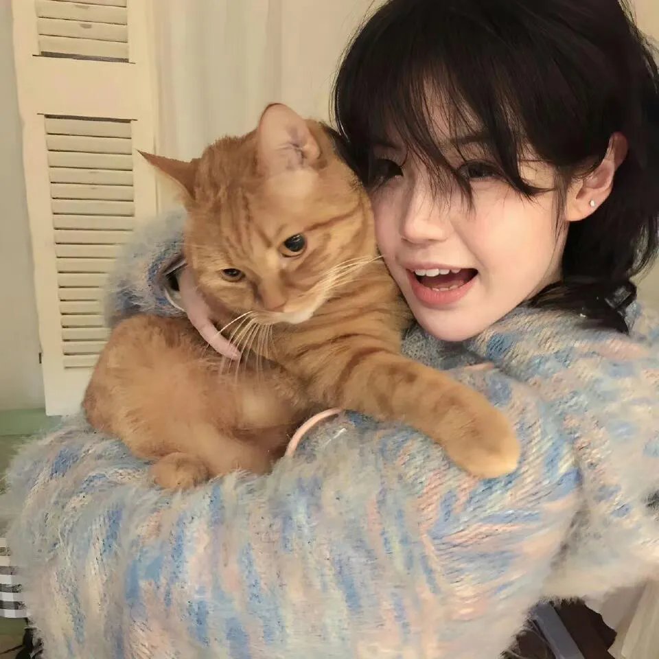 剑花烟雨江南粤语